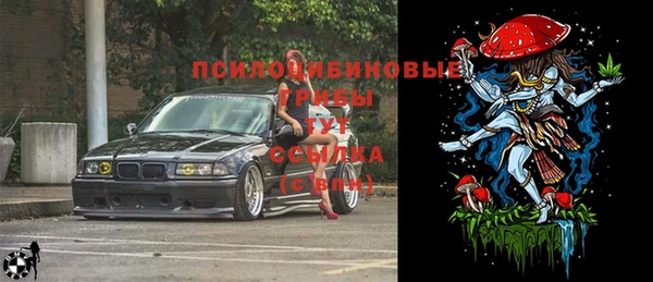 MESCALINE Лабытнанги
